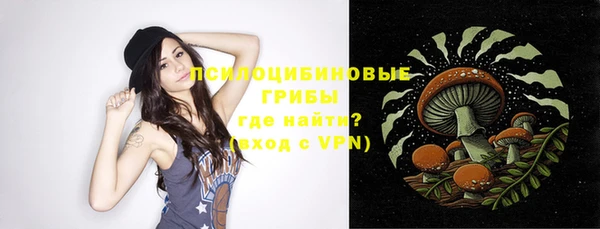 молекула духа Наволоки