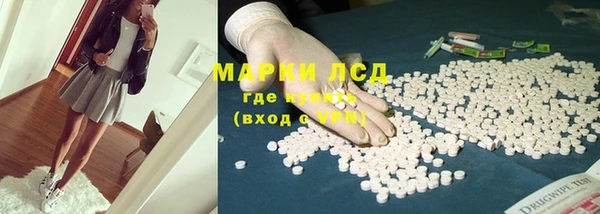 шишки Болотное