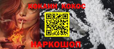 гидра Гатчина