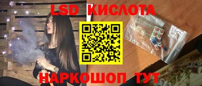 гидра Гатчина