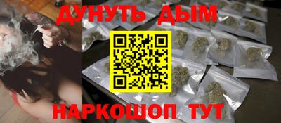 гидра Гатчина