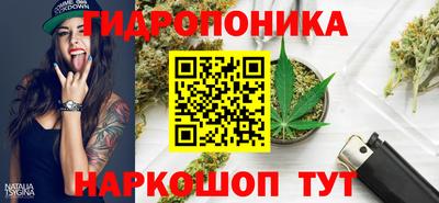 мяу мяу мука Гагарин