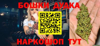 гидра Гатчина