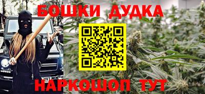 гидра Гатчина