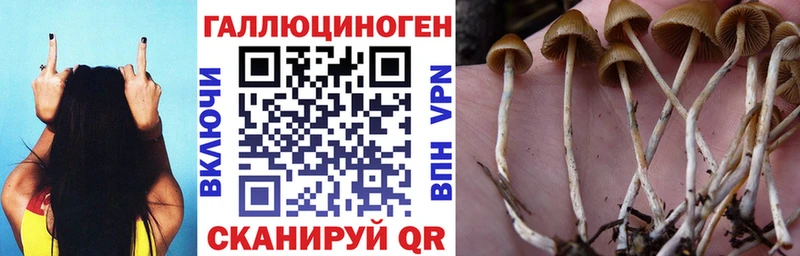 Галлюциногенные грибы MAGIC MUSHROOMS  Ишим 
