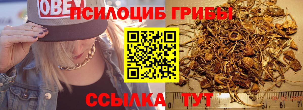 Галлюциногенные грибы GOLDEN TEACHER  Вход с VPN  Галлюциногенные грибы Magic Shrooms  Ишим 
